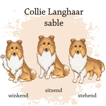 Motivauswahl für die Impfpasshülle Langhaarcollie sable